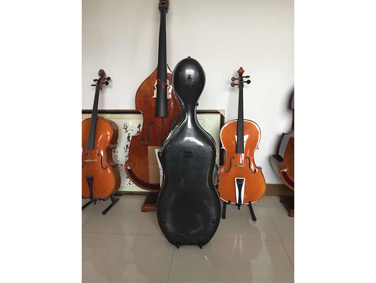 演奏 大提琴