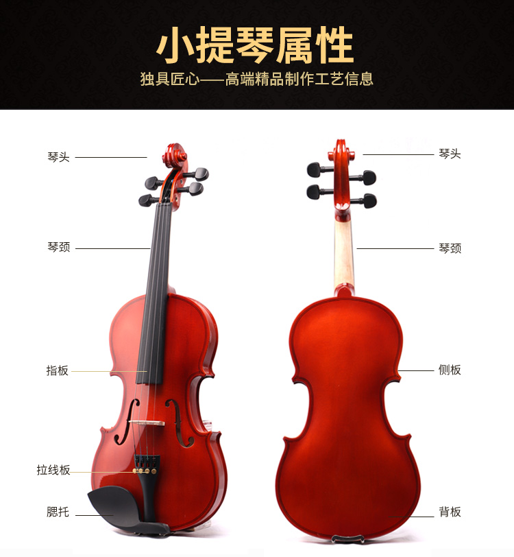 小提琴屬性.jpg